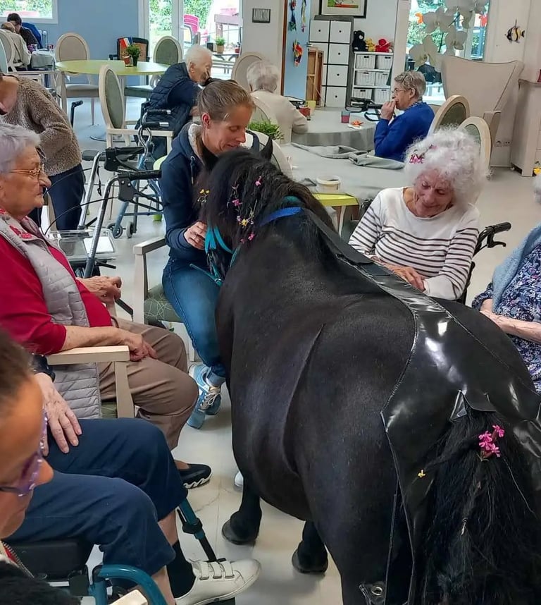 Groupe de personnes âgées dans un ephad autour d'un cheval noir