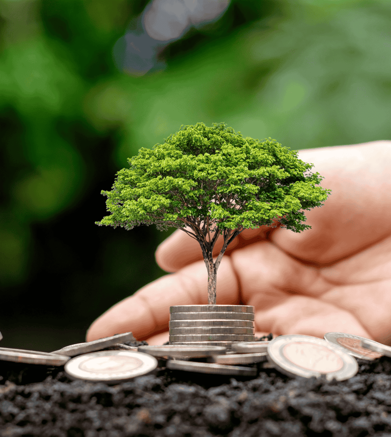 Hemp and the circular economy