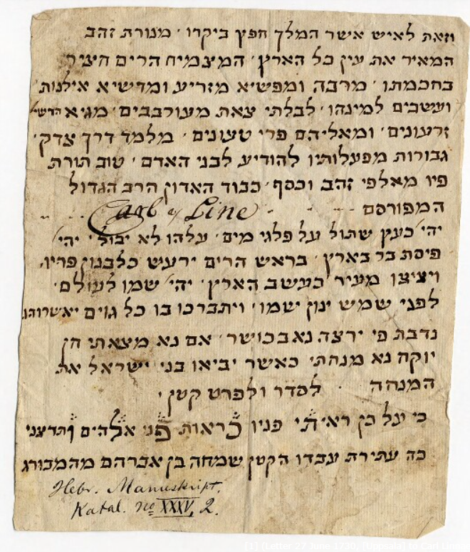 Hebrew letter sent to Linnaeus 
