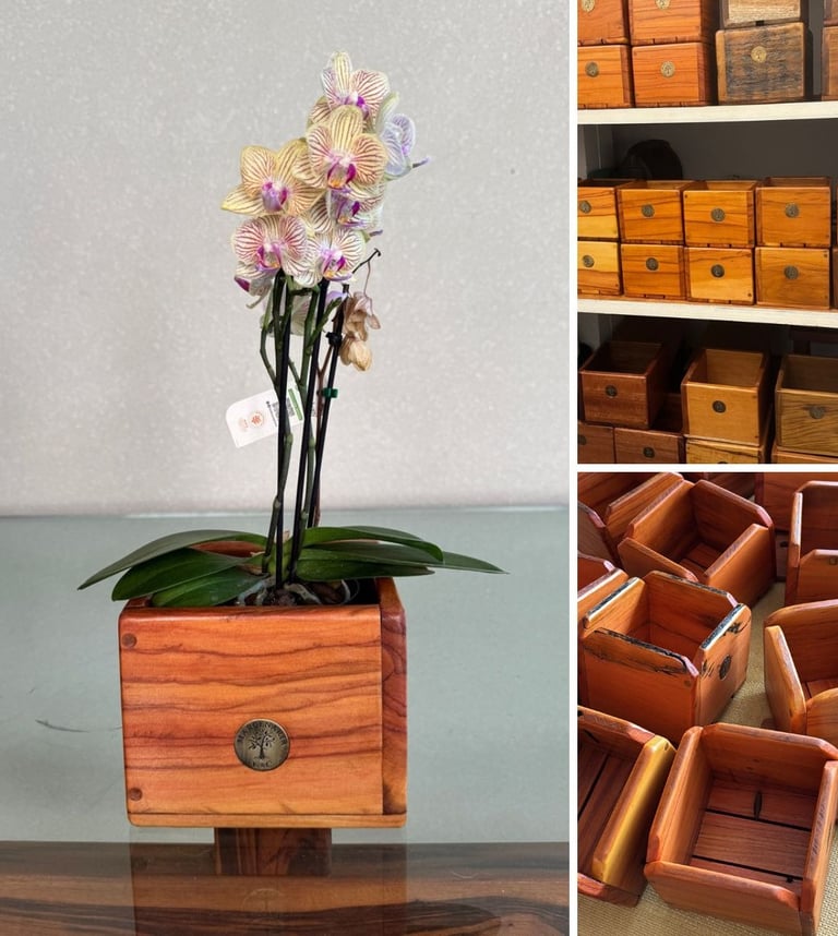 clique para detalhes dos cachepôs ou porta-vasos