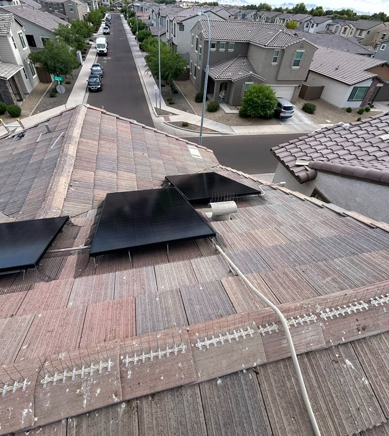 Pigeon proof screen install around solar panels in phoenix arizona
