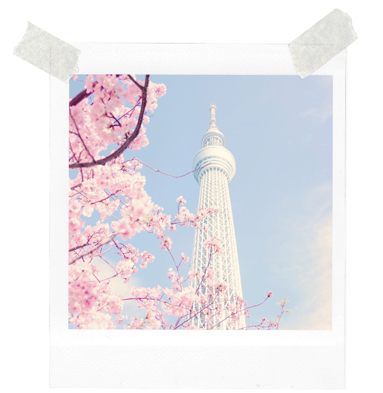 a picture of a picture of a tower with a tower in the background