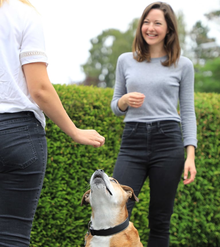 Hundetrainerin erklärt Hundehalterin die Trainingsaufgabe