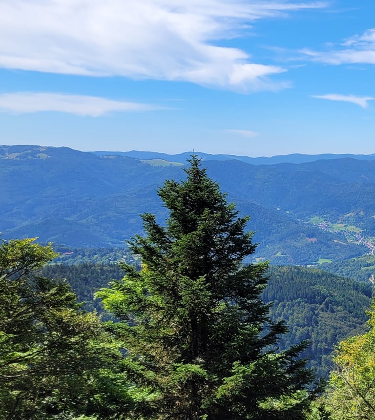 La nature, l'environnement 