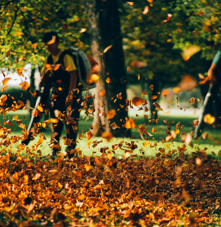 fall cleanup services in central mn