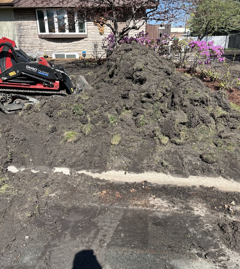 sod restoration at residential home in MN