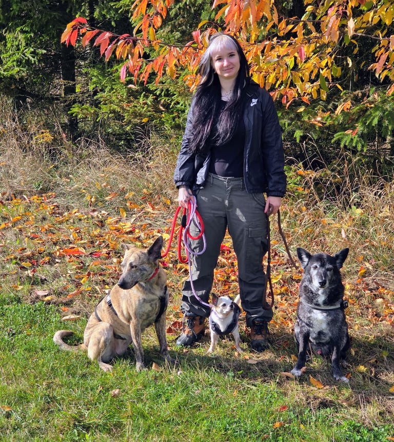 Mel bei Dogwalking in Leipzig mit ihrer kleinen Gruppe