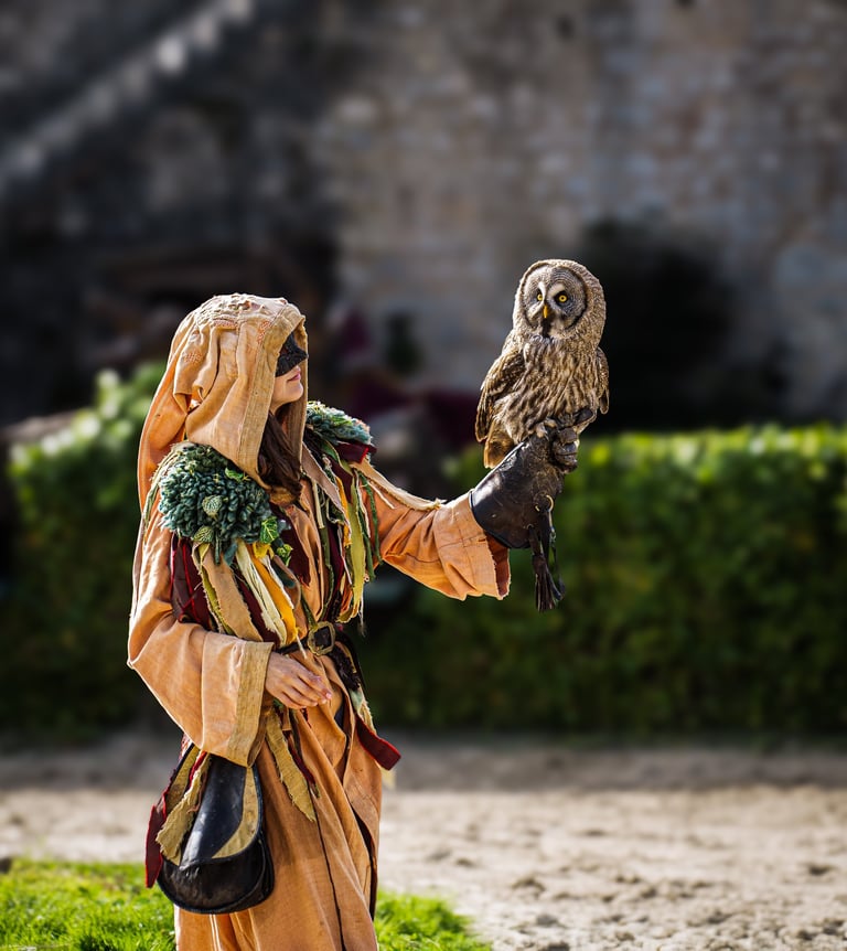 Dresseuse vêtue d’un costume médiéval tenant une chouette sur la main, photographie documentaire ani