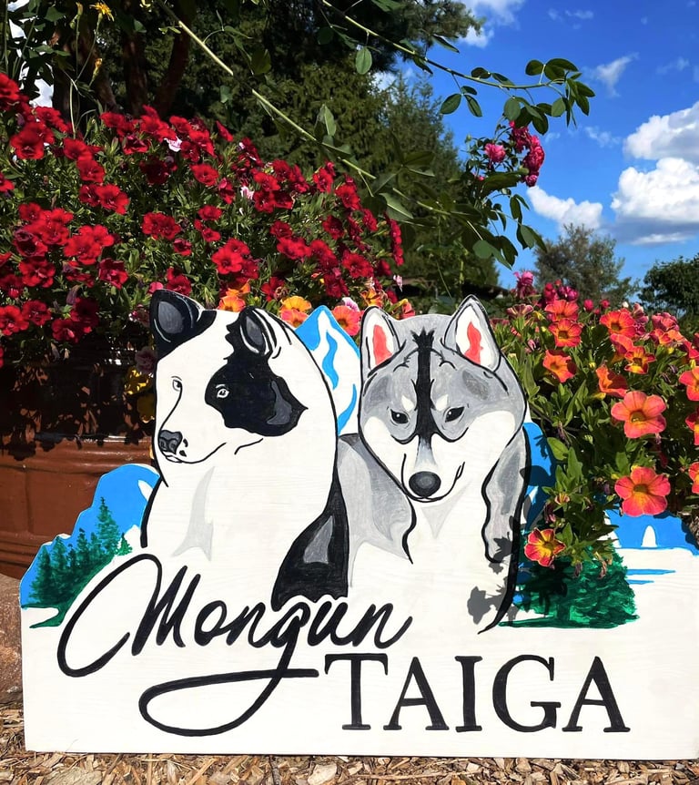 Yakutian laika kennel