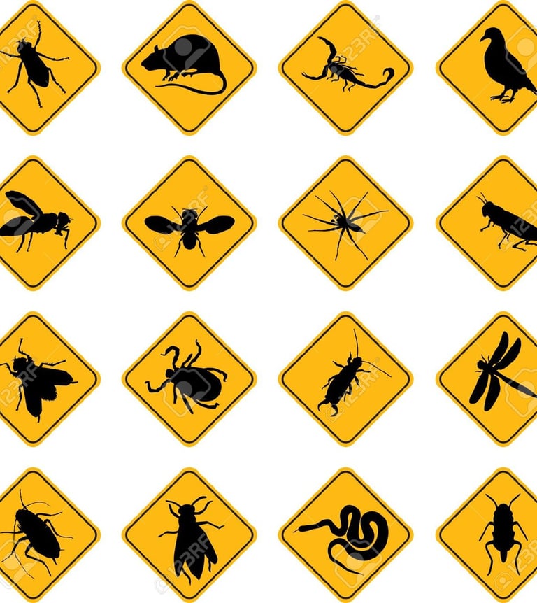 General pest control Ahmedabad