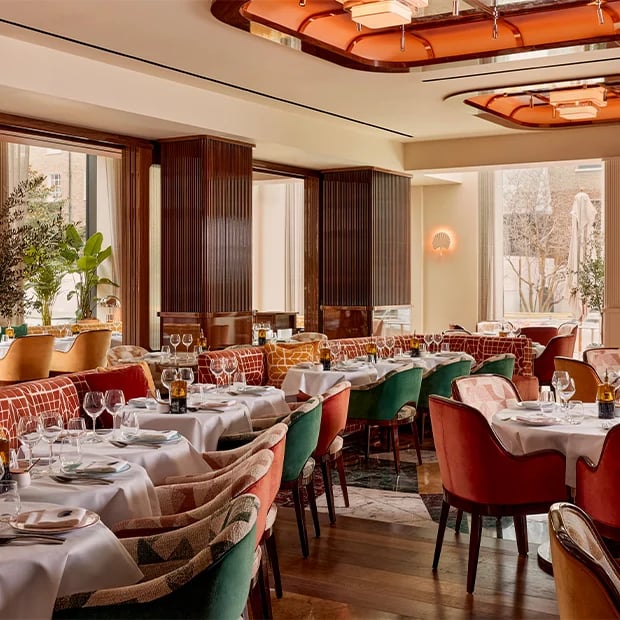 Elegant dining at La Môme, The Berkeley.