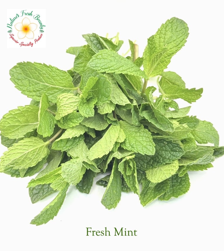 Fresh Mint