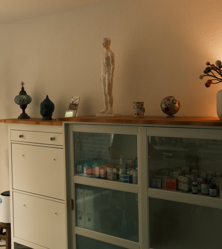 Anatomisches Modell und Arzneischrank im Behandlungsraum der Heilpraxis Vitalsinn