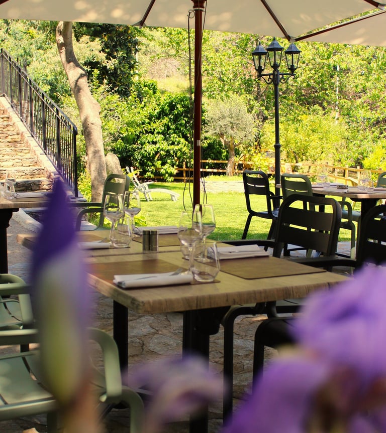 La terrasse et son jardin , terrasse ombragée, restaurant de village, restauranta vescovato, grillad