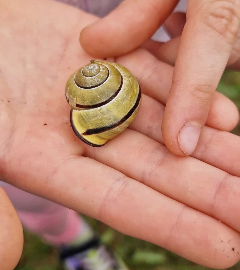 Mus supančios gyvūnijos atradimas