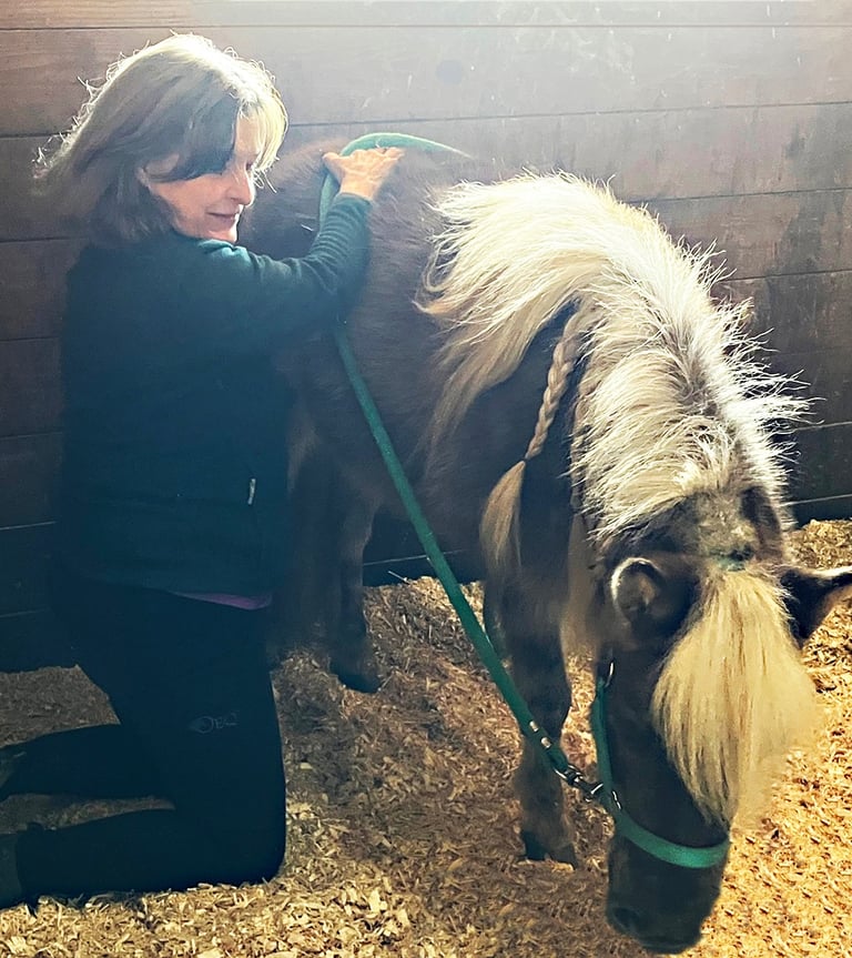 Danna Antoine, kneeling doing bodywork with a miniature horse that is relaxed with her head lowered.