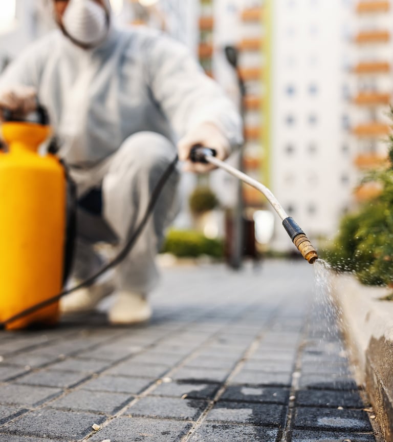 مكافحة حشرات بمكه