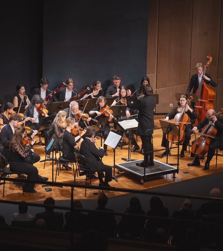 Süddeutsches Sinfonieorchester