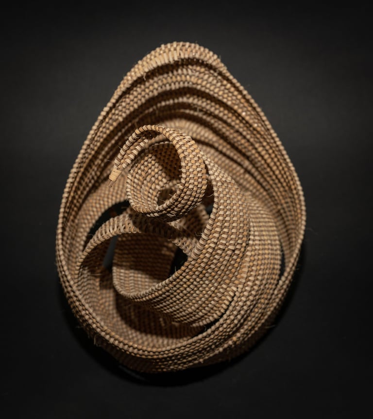 Blind Assassin, 2020, cane, reed