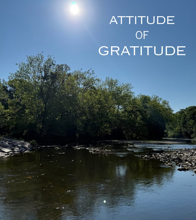 Attitude of Gratitude blog