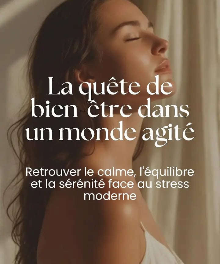 couverture ebook la quète de bien être