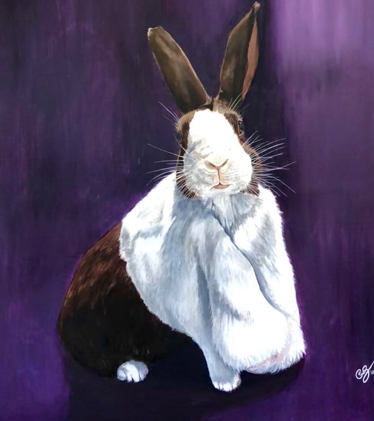 Bunny, rabbit, purple, art, pet, Dutch rabbit, white and brown bunny, acrylic art