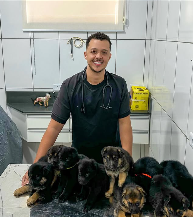 Veterinária em três lagoas