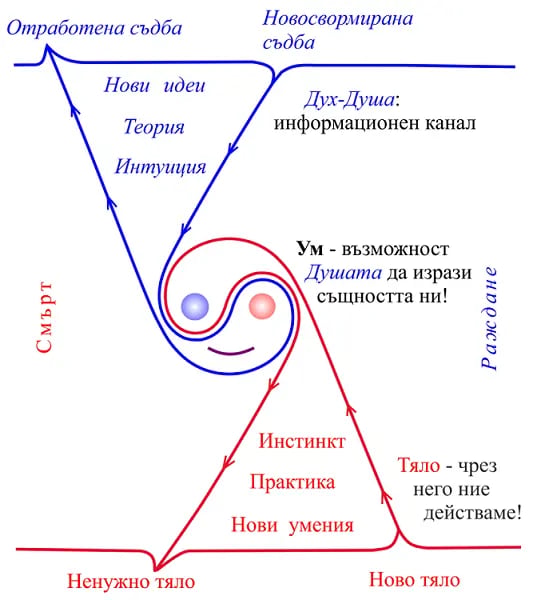 ин и ян в динамично равновесие