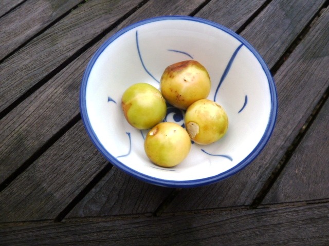 Fruits mûrs
