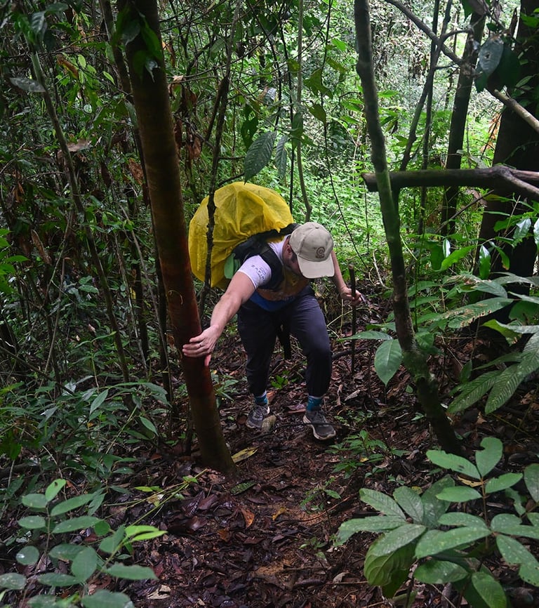 6 day jungle trekking ultimate expedition