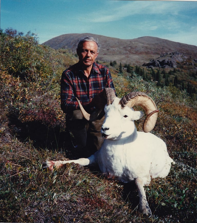 Successful hunter with a trophy Dall Sheep ram harvest in the Alaskan mountains.