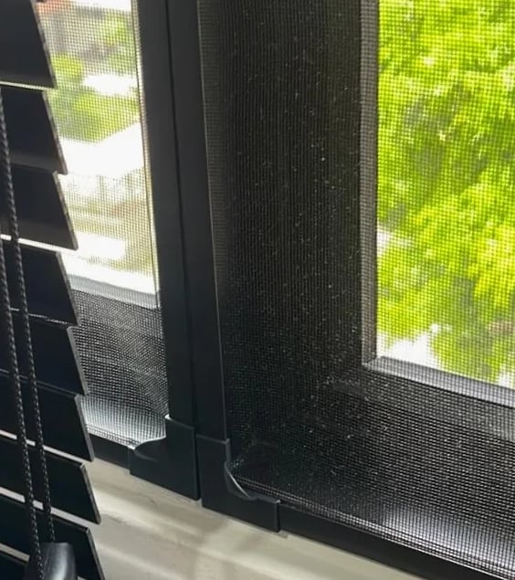 window with mosquito net installed
