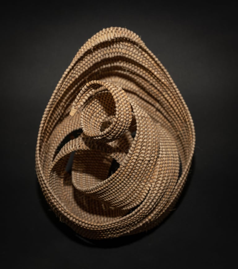 Blind Assassin, 2020, cane, reed