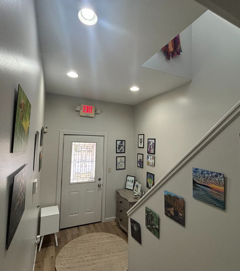 Artist Lauren Connelly presents Wild Developments Studio