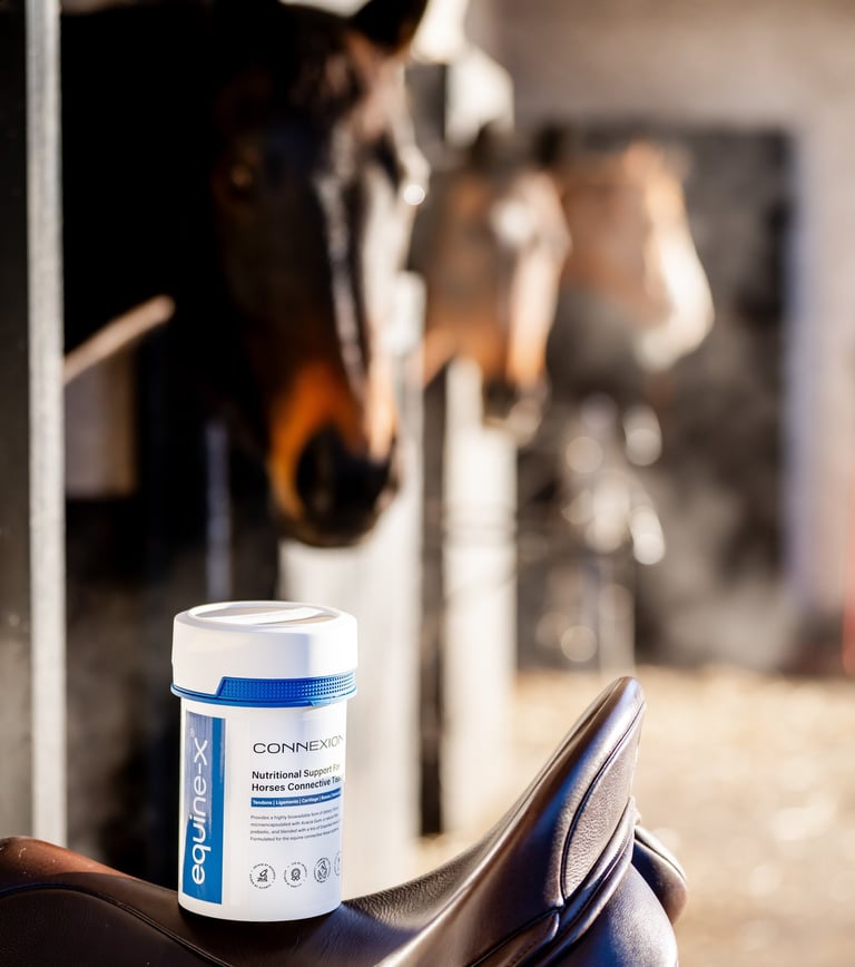 Horses in stables looking at a tub of connexion, a horse supplement for connective tissues