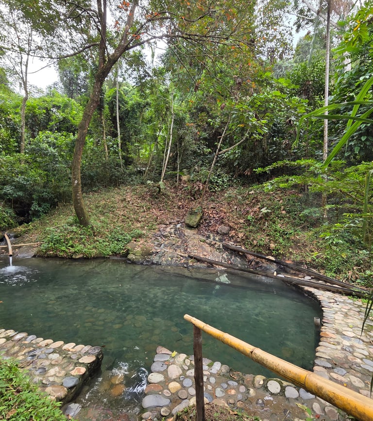 Heiße Quellen im Amazonas Regenwald