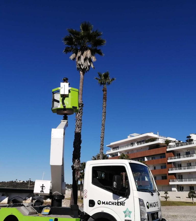 A worker using a truck-mounted aerial lift platform to trim palm trees in the Marina Lagos, Algarve