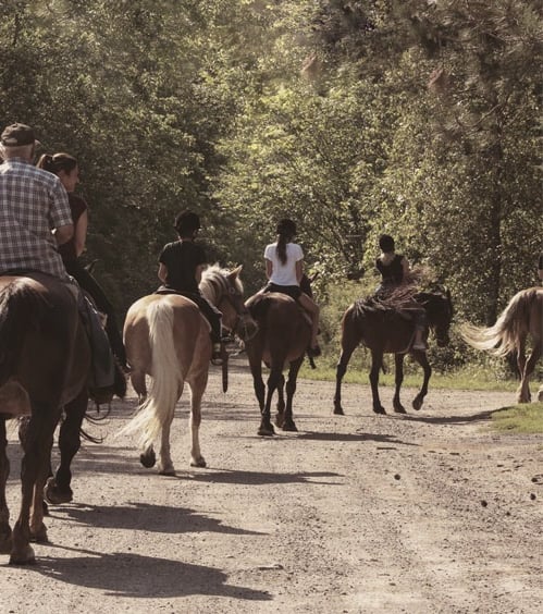 horseback riding in brownsburg-chatham near montreal