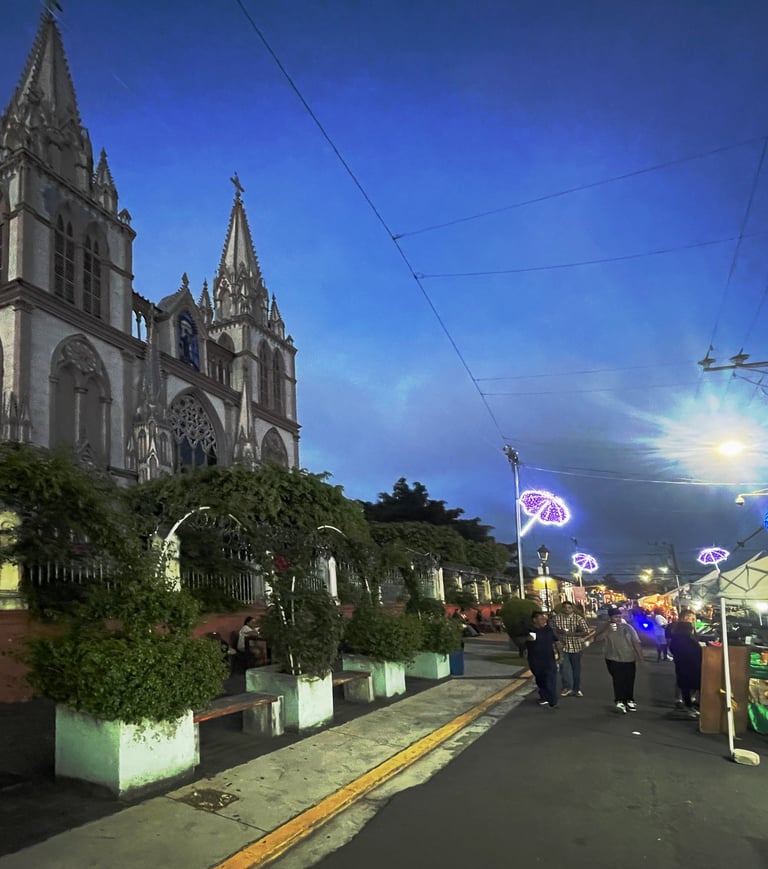 Nuestra Señora del Carmen street market with illuminated stalls & pedestrians.