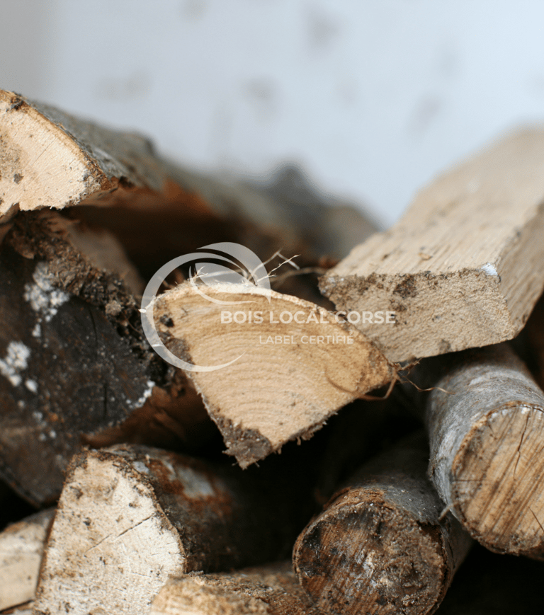 morceaux de rondins de bois