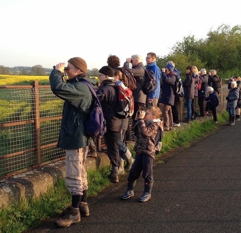 Dawn Chorus field trip