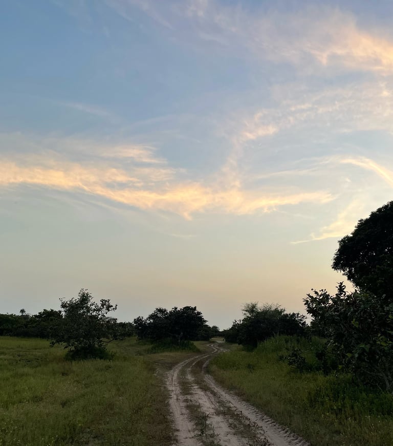 Paysage du village de Kachiouane où l'on peut observer un ciel magnifique et la verdure dense