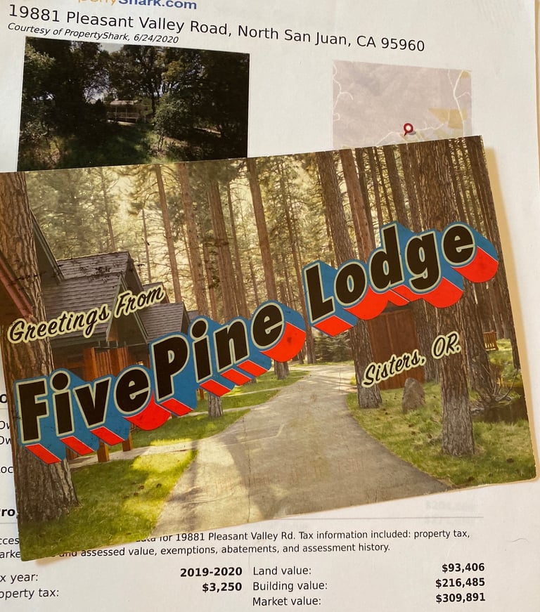 John Human is connected to the Willitts Scheme