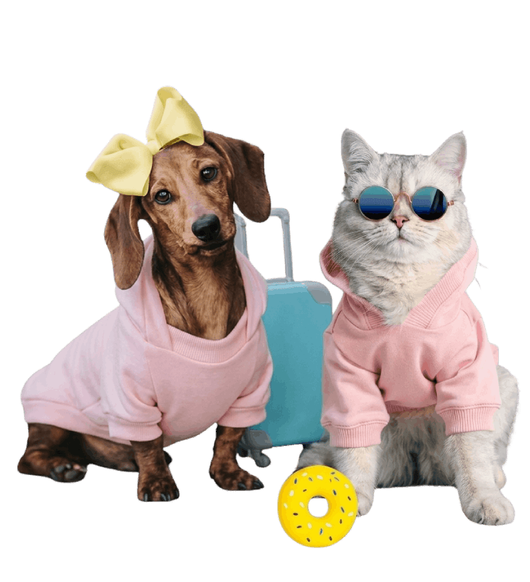 Un perrito y un gato con sudaderas rosas y gafas de sol, listos para vacacionar