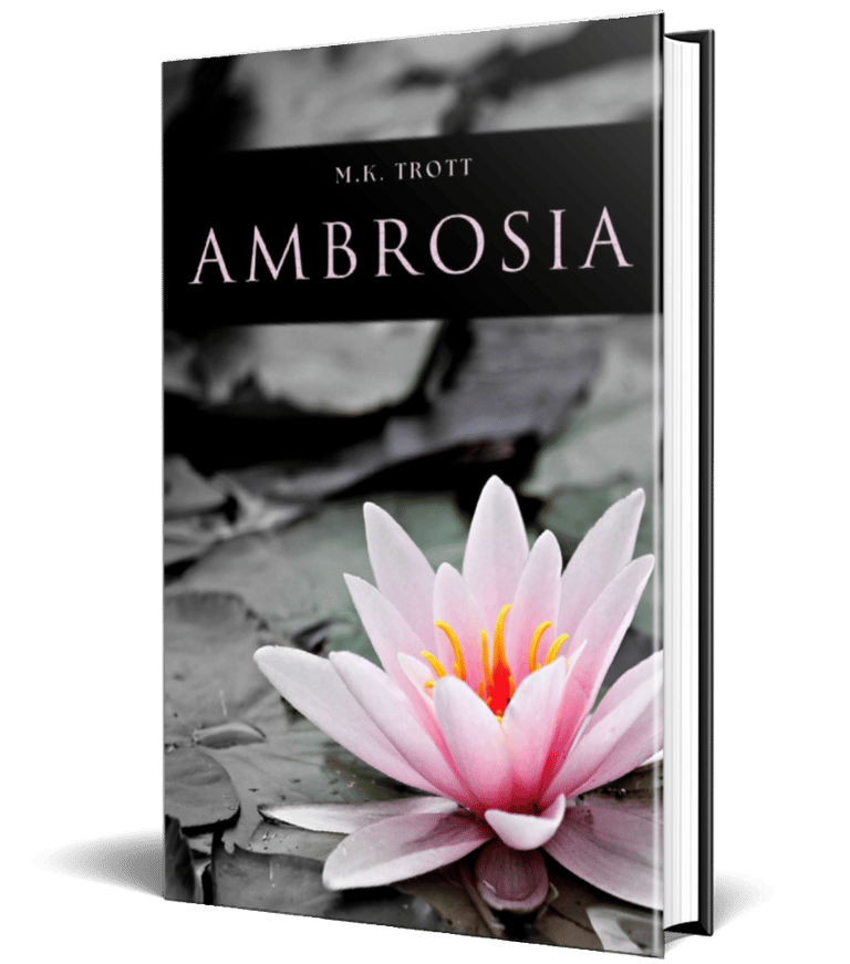 A black and white image of lily pads on a pond. A large bright pink lily with yellow stamen is featured on the lower right