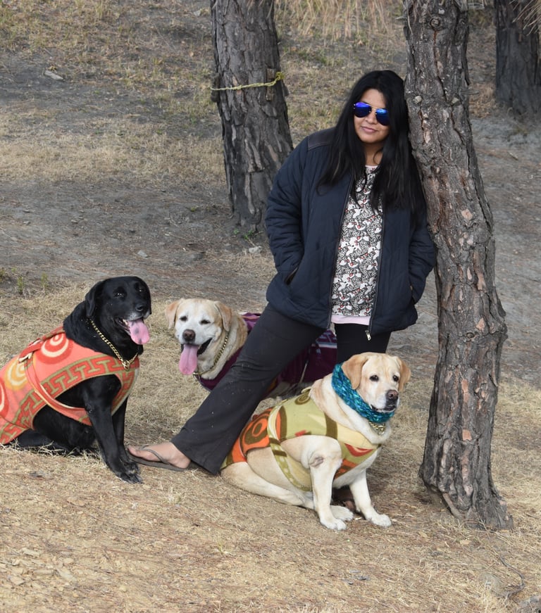 Dog Boarding, Dog Boarding near me, Pet Boarding, Pet Boarding near me, Dog Care, Happy Pettings