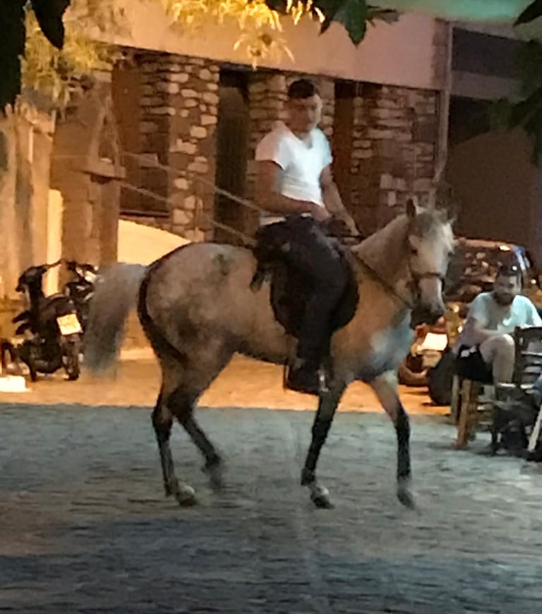 Festival du cheval sur l'île grecque de Lesbos