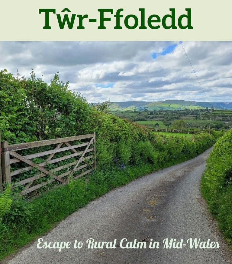 Holiday Let near Llanwrtyd Wells. Quirky and unusual.