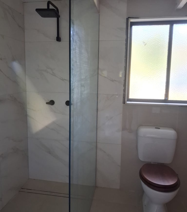 shower and toilet
