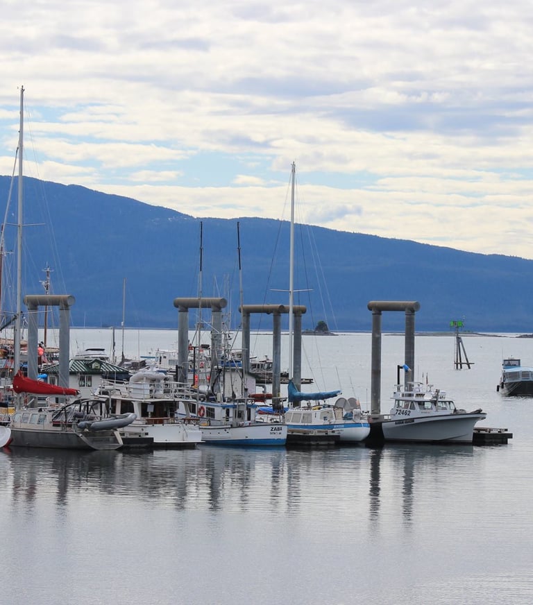 a bunch of boats docked at a dock
